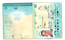 【全球護(hù)照聖基茨成功案例】星云海國際客戶Z先生順利獲發(fā)聖基茨·尼維斯護(hù)照！