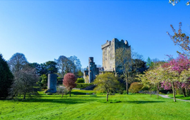 細(xì)數(shù)愛爾蘭移民「醉人」的優(yōu)勢