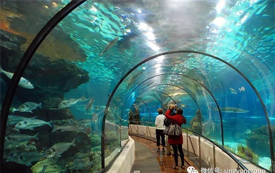 這裡是新加坡，您哪些景點(diǎn)值得一去？