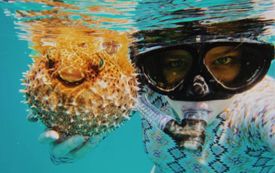 慢生活丨來聖盧西亞，做個無憂無慮的島民