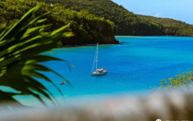 聖盧西亞移民新政出臺，申請條件更寬鬆