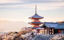 日本丨一張日本經(jīng)營管理簽證，能帶給您什麼？