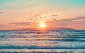 無需出國，不懼疫情，安坐家中拿身份！