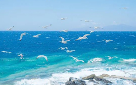 超高性?xún)r(jià)比的希臘移民，還需儘早入手！