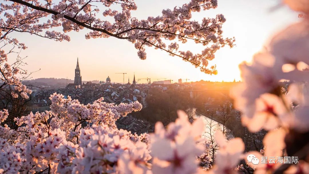 移居瑞士，看這篇就夠了
