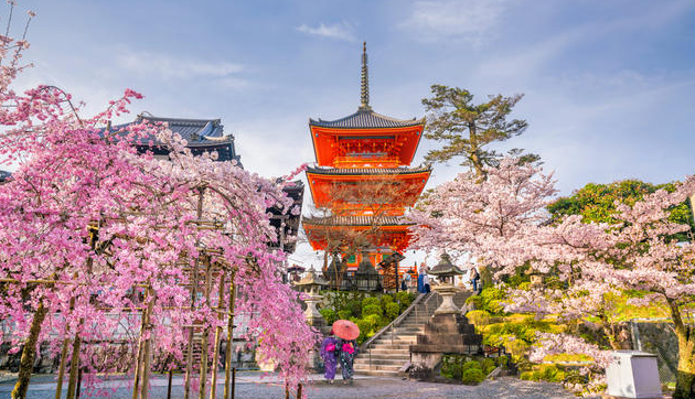 日本10月起將全面解除入境限制，開放個人自由行