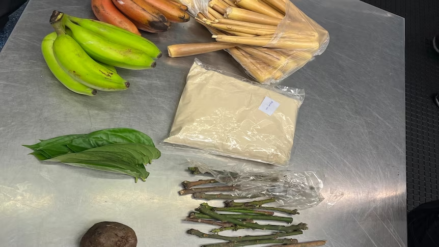 前往澳洲，別帶這些東西！否則重罰＄5500