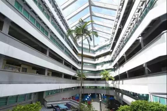 1586252058176301.jpg 4.jpg