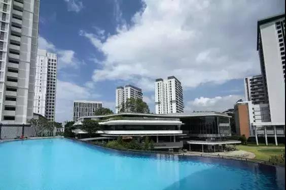 1586252094122347.jpg 5.jpg