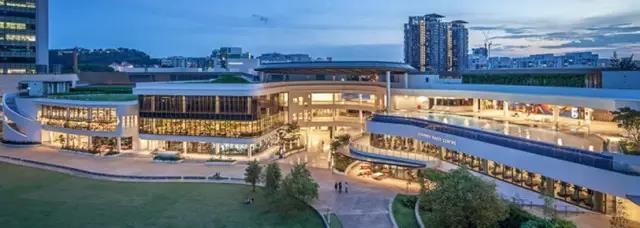 1586252128631534.jpg 6.jpg