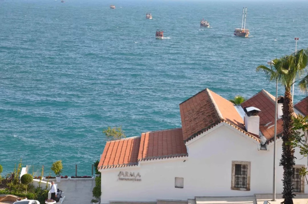 1586319647215589.jpg 640 (4).jpg