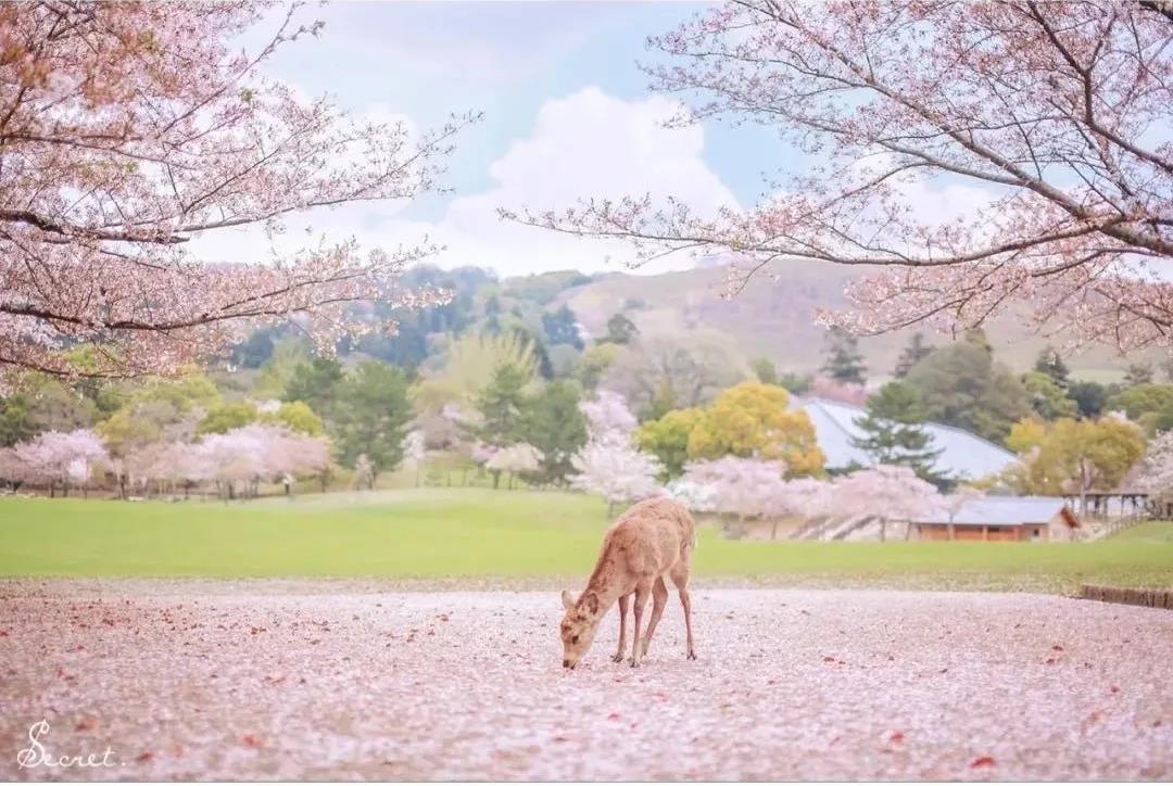 1586489462313787.jpg 微信圖片_20200410113048.jpg