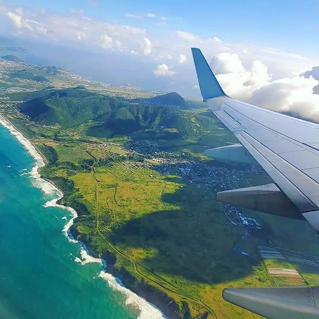 1590731599753529.jpg 5.jpg