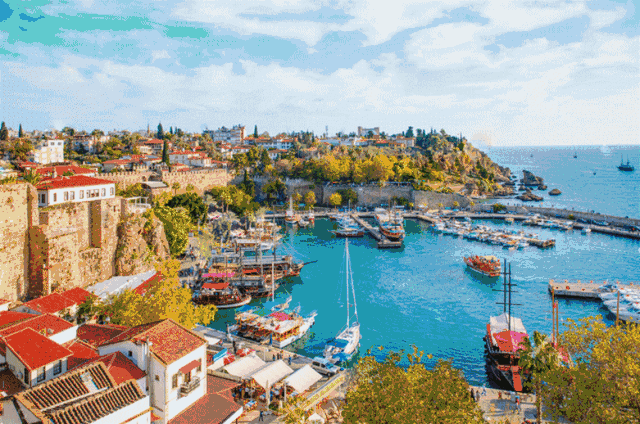 1592540869930174.gif 1592540869930174.gif