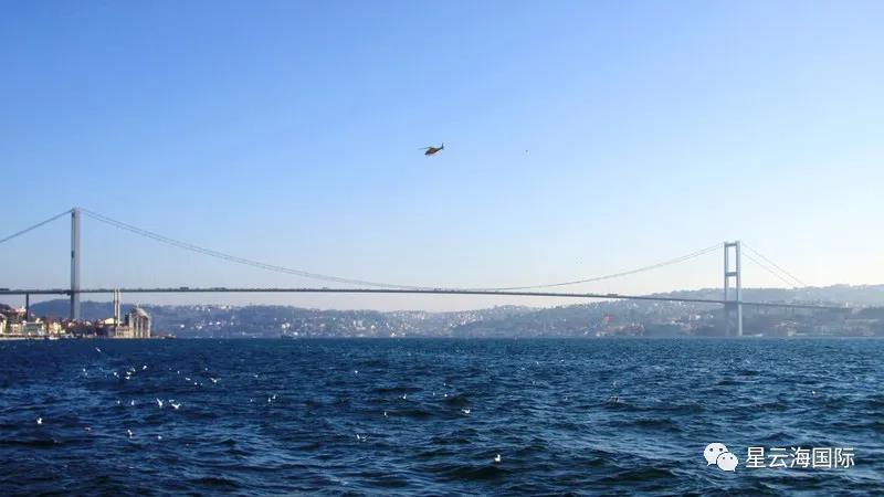 1592541043173332.jpg 1592541043173332.jpg