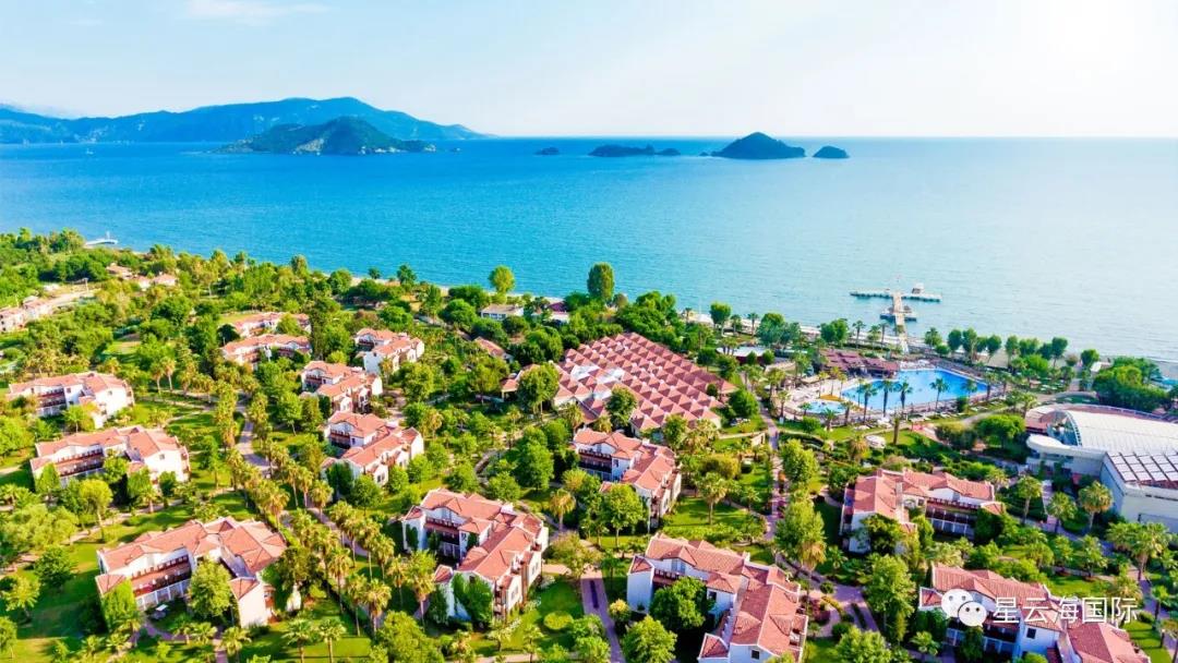 1592546971539919.jpg 1592546971539919.jpg