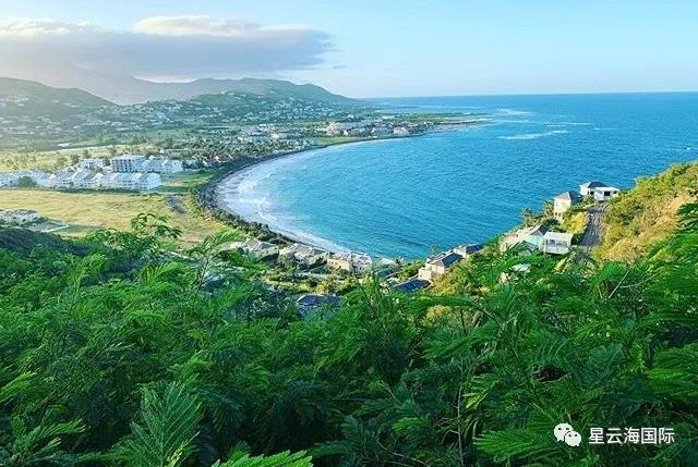 1592797259938437.jpg 1592797259938437.jpg