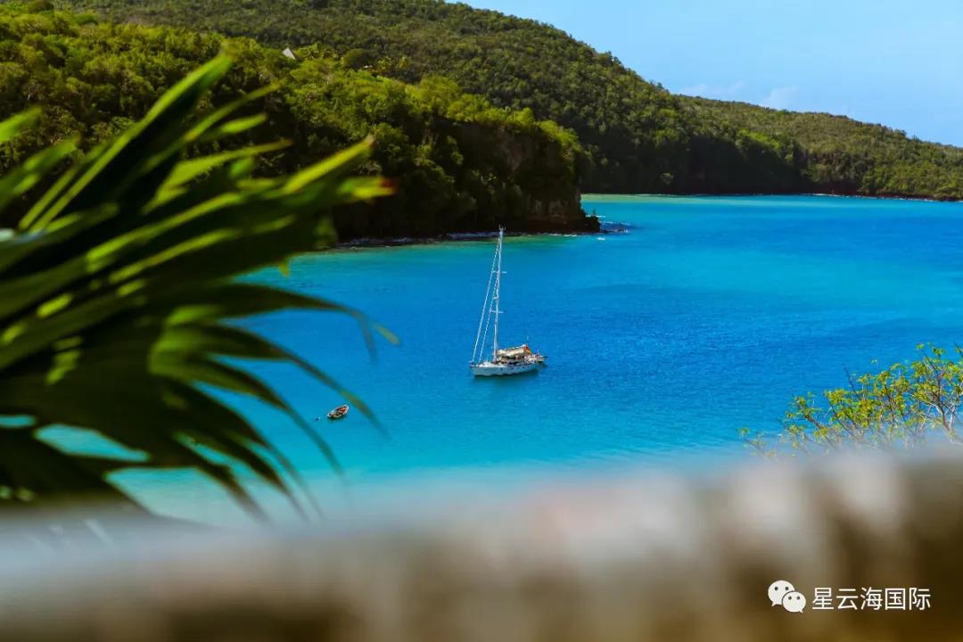 1593483288889294.jpg 1593483288889294.jpg