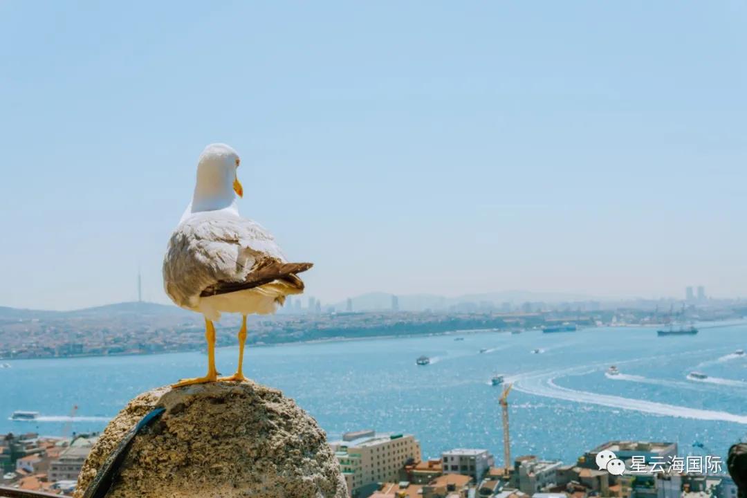 1595466973130717.jpg 1595466973130717.jpg