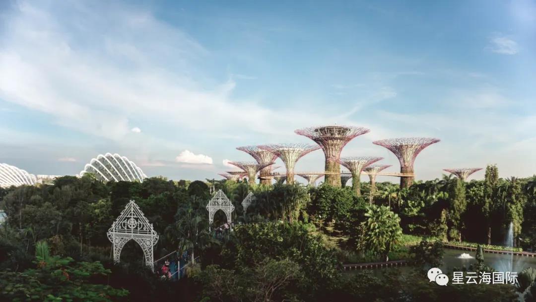 1595813704116943.jpg 1595813704116943.jpg