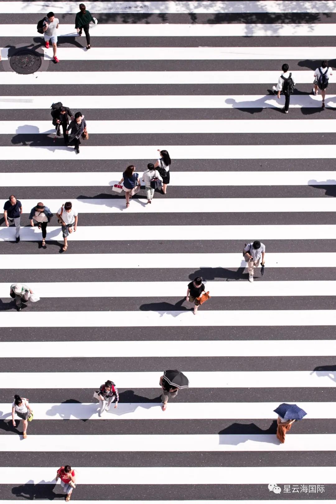 1597023277596506.jpg 1597023277596506.jpg