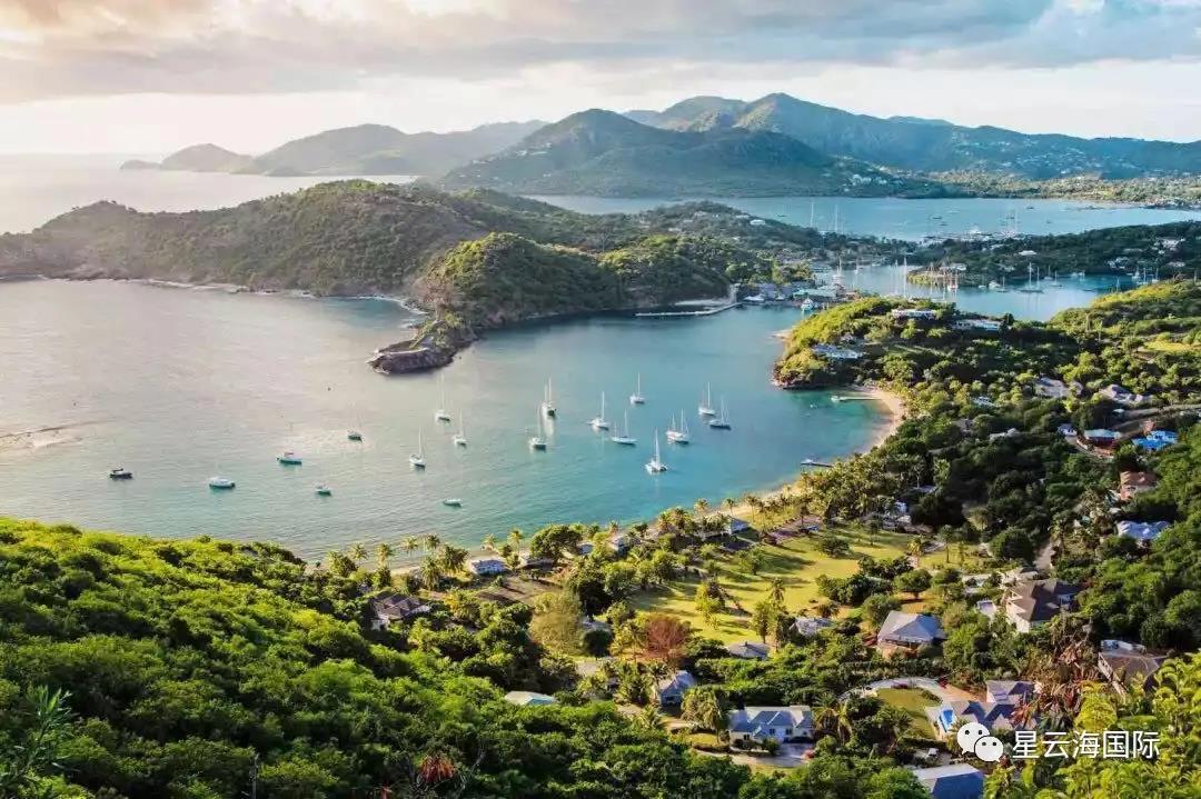 1597025959165715.jpg 1597025959165715.jpg