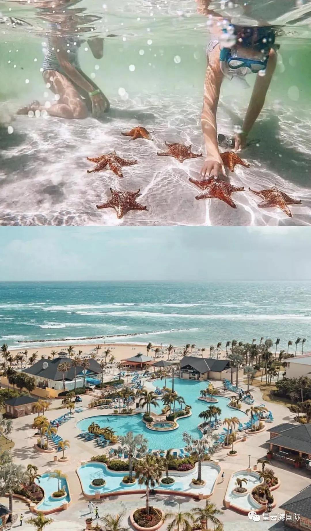 1597026480712132.jpg 1597026480712132.jpg