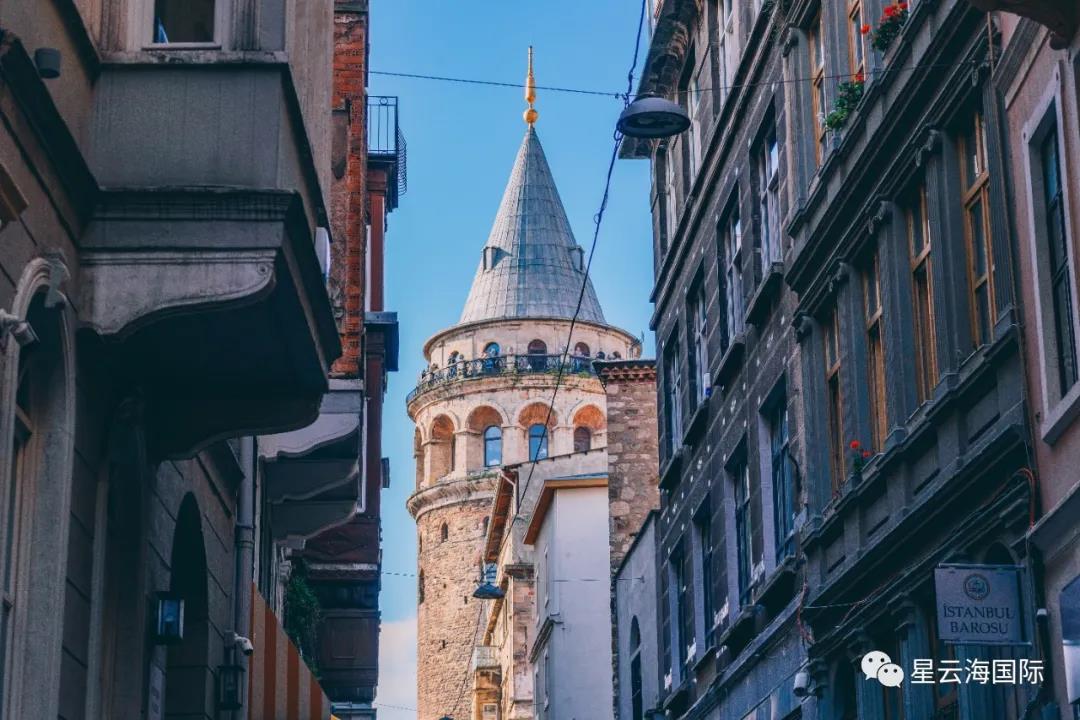 1597109878134087.jpg 1597109878134087.jpg