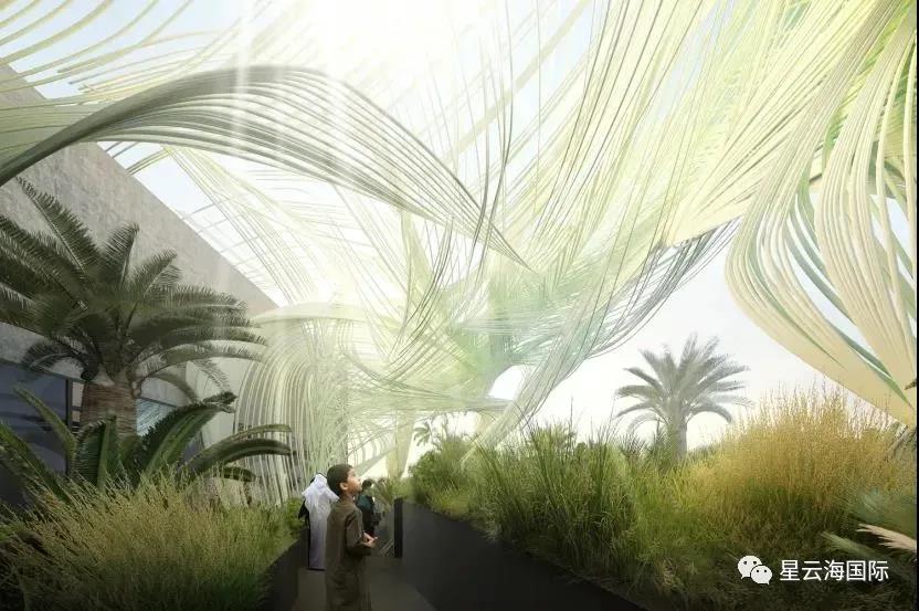 1598233332555454.jpg 1598233332555454.jpg