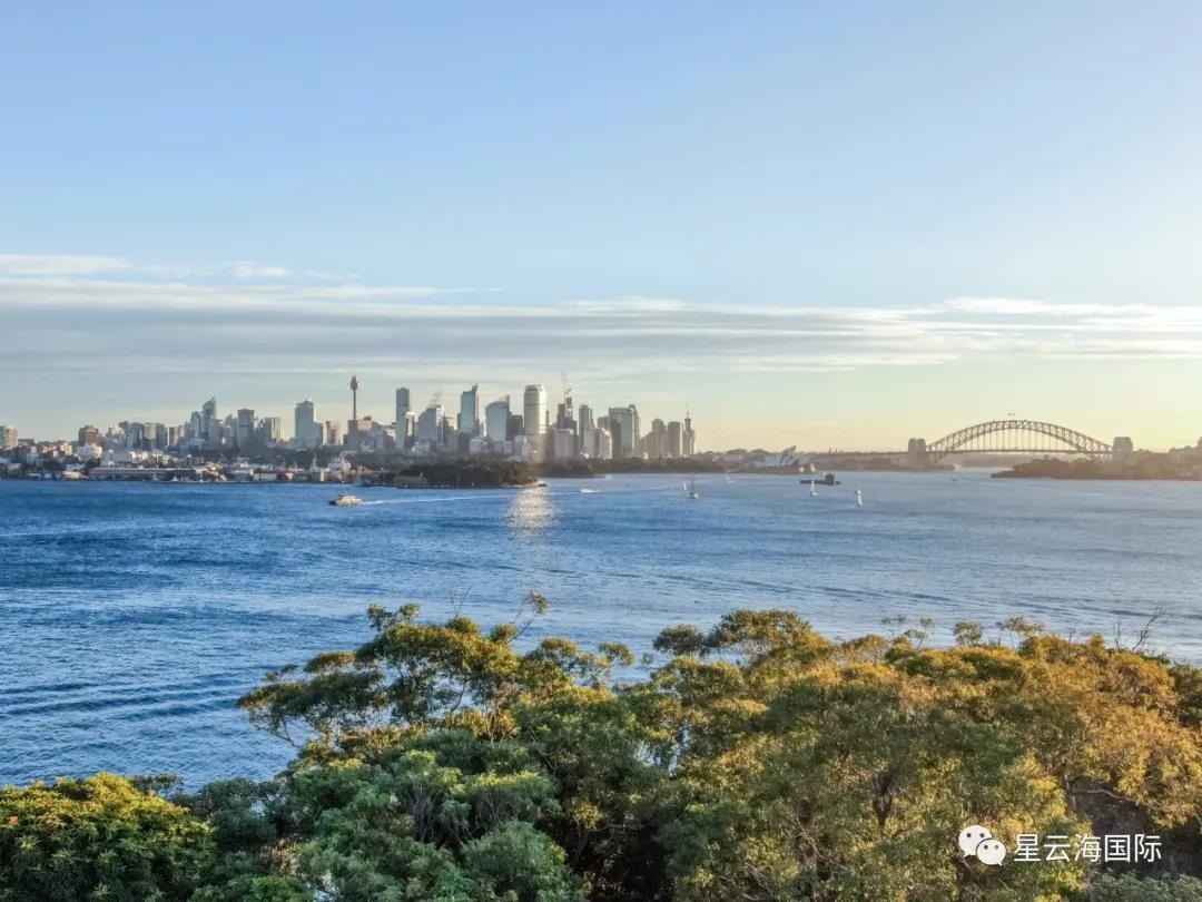 1599185300663377.jpg 1599185300663377.jpg