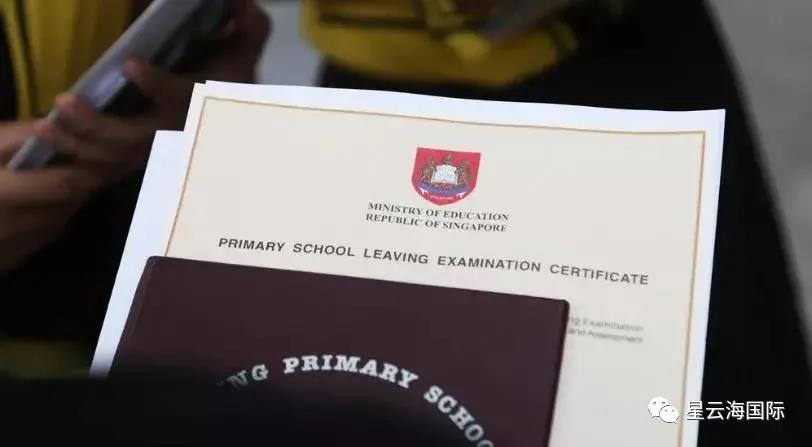 1599535389387673.jpg 1599535389387673.jpg