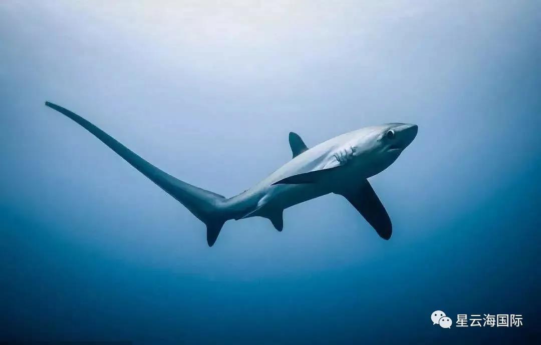 1602213303986288.jpg 微信圖片_20201009110614.jpg