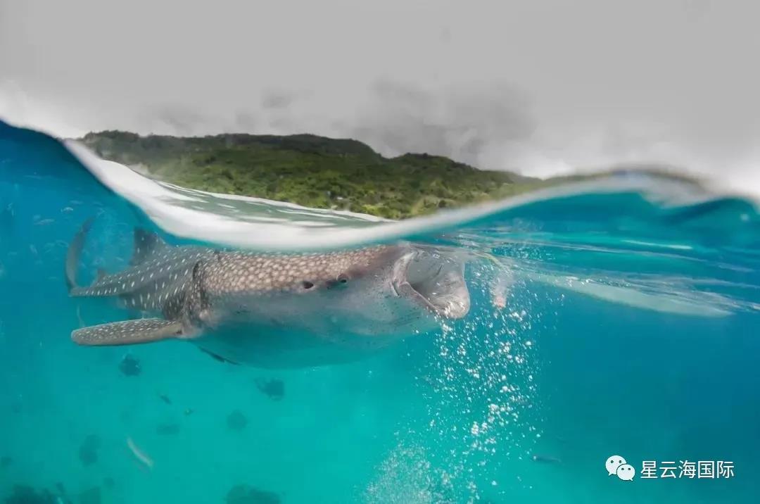 1602213436454802.jpg 微信圖片_20201009110628.jpg