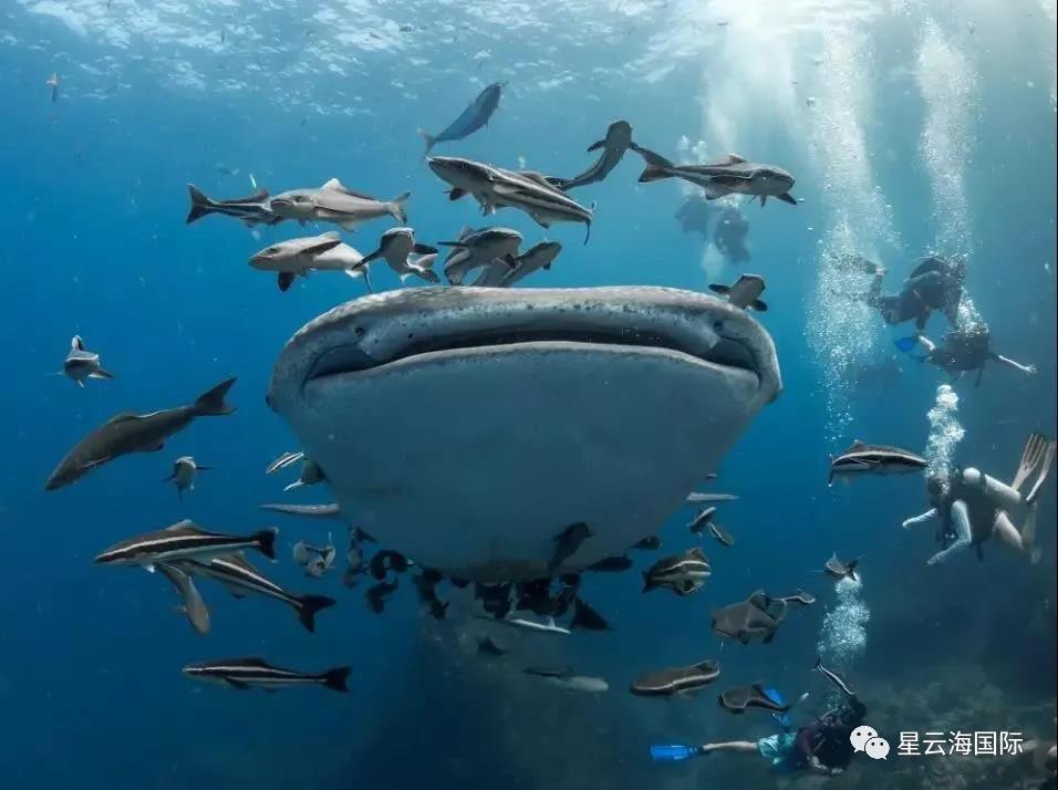 1602213599134646.jpg 微信圖片_20201009110631.jpg