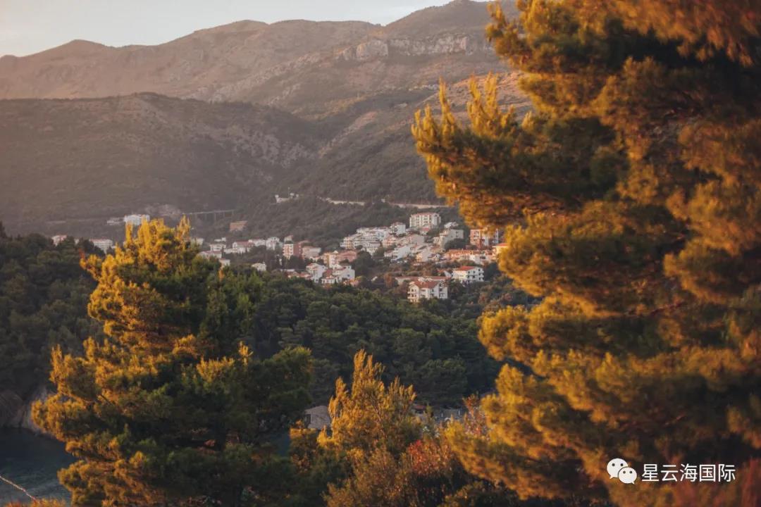 1603159011314863.jpg 微信圖片_20201020095042.jpg