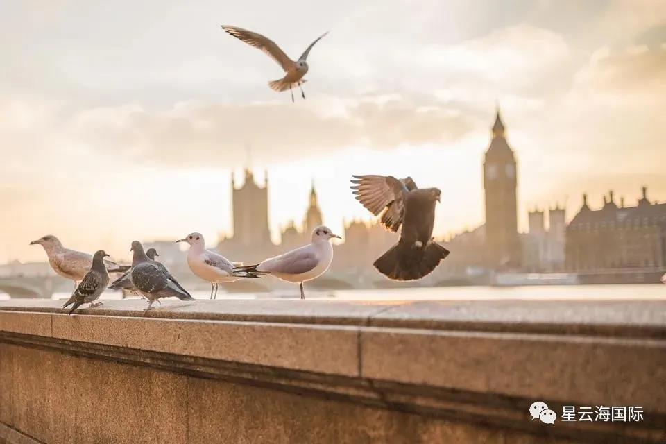 1604295825312238.jpg 微信圖片_20201102133953.jpg