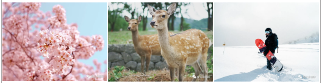 1604370304747720.png 微信截圖_20201103102326.png