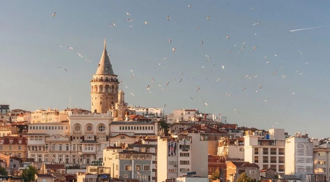 1604634704104321.jpg 微信圖片_20201106115210.jpg