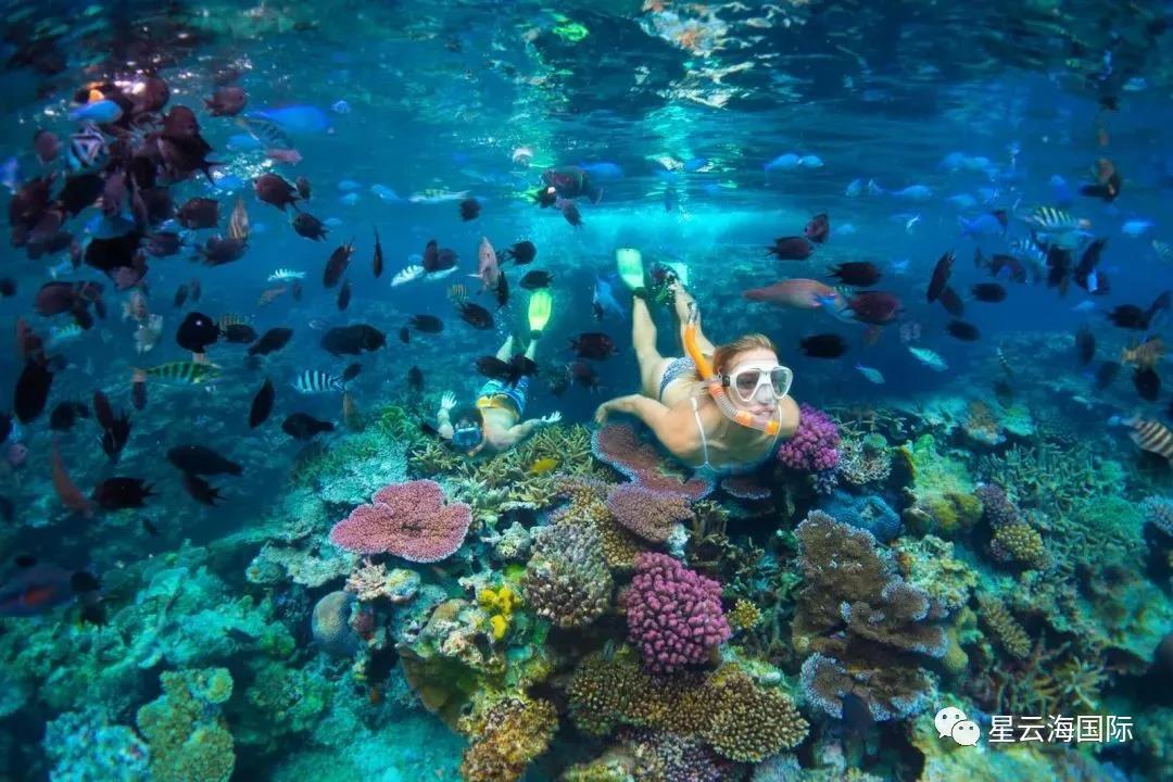 1604905432744234.jpg 微信圖片_20201109145250.jpg