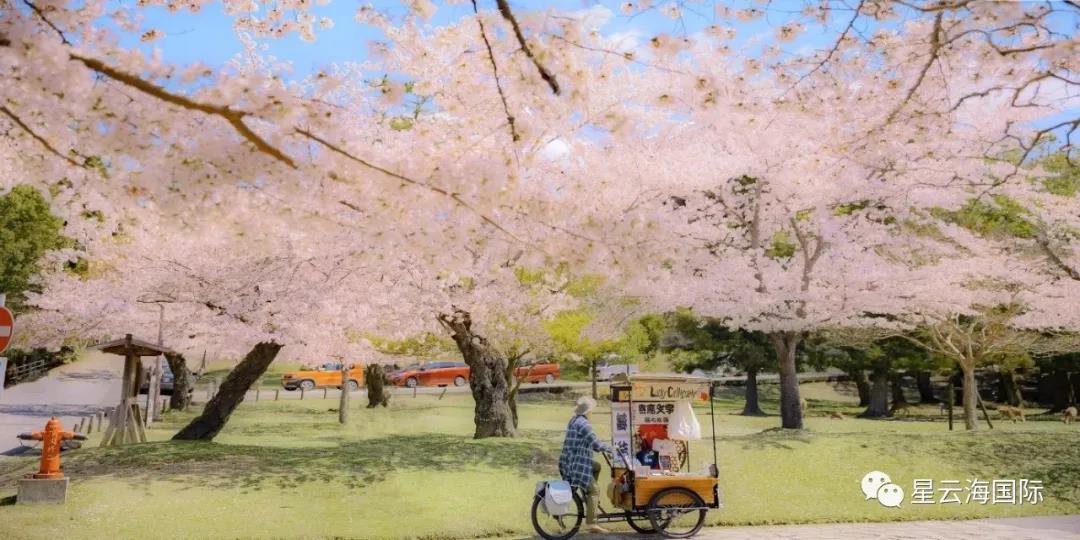 1605511412116693.jpg 微信圖片_20201116152123.jpg