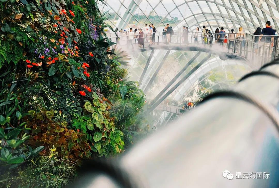 1605669826201560.jpg 微信圖片_20201118111937.jpg