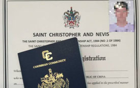 私家皇庭高端豪華海景酒店，圣基茨·尼維斯投資入籍高性價比之選！