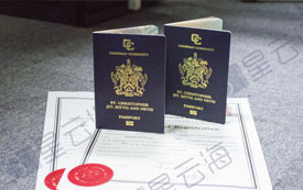 喜訊|恭喜P先生喜獲圣基茨·尼維斯護(hù)照和公民證書！