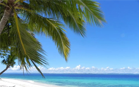 來菲律賓，教育、投資、生活“移”步到位！