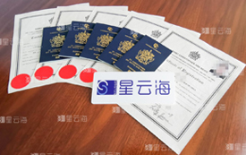 喜訊|恭喜Q女士及家人獲圣基茨·尼維斯護(hù)照和公民證書！