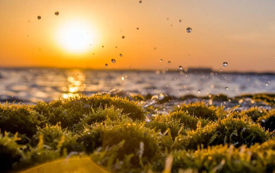 全球最佳離岸財(cái)富中心 | 投資塞浦路斯就是投資未來(lái)