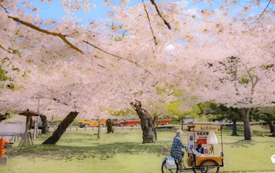 日本丨移民日本，超乎想象的利好，面面俱到！