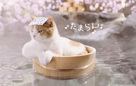 日本丨冬日療愈之地，在日本の溫泉池里