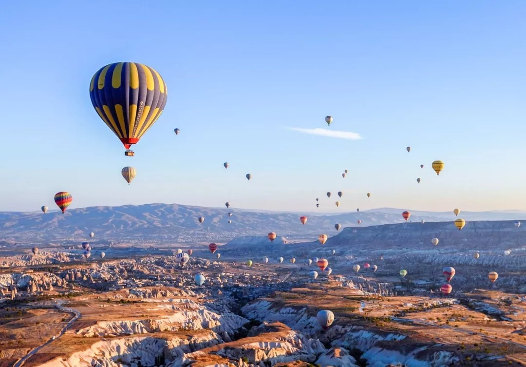 1585021675107187.jpg 640.jpg