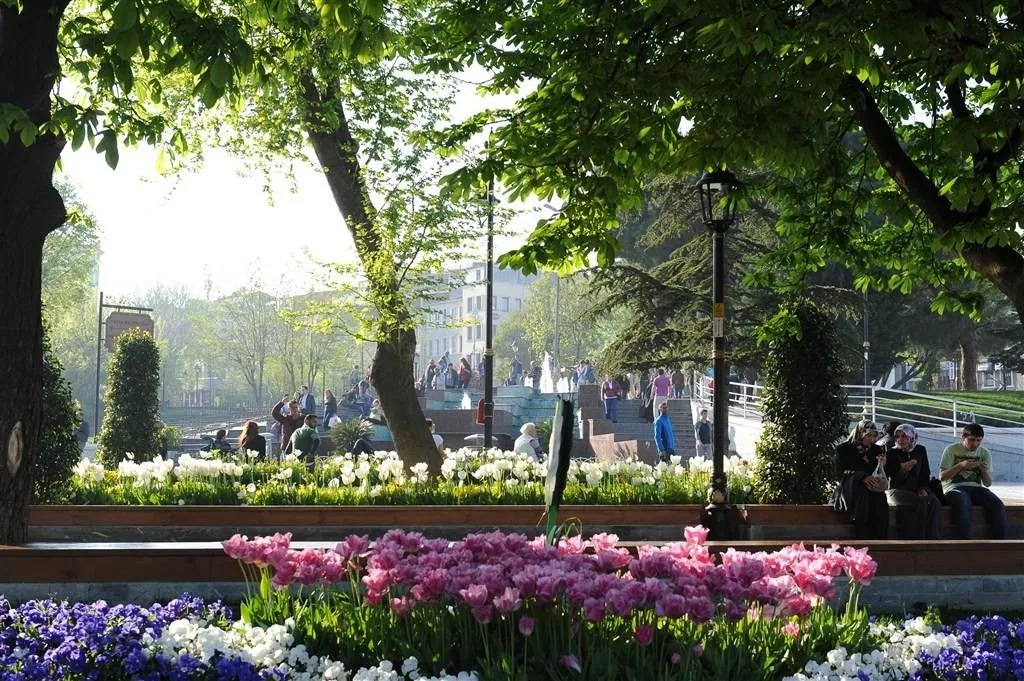 1585021716118350.jpg 640 (3).jpg